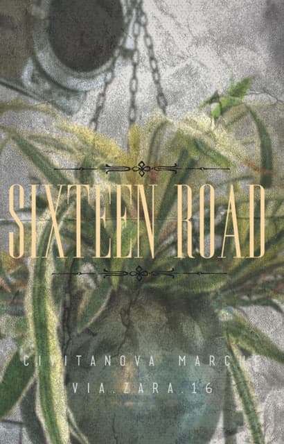 Sixteen Road